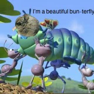 Smol Bun Meme 22
