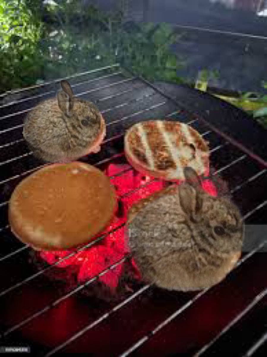 Smol Bun Meme 24