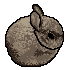 Smol Bun Meme 28