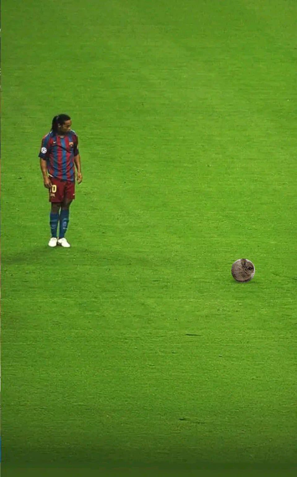 Smol Bun Meme 2